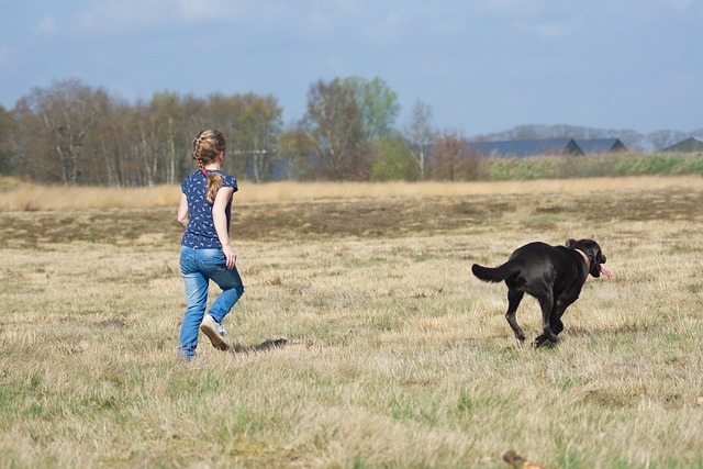 Verhoog het geluk van je hond met deze simpele tips